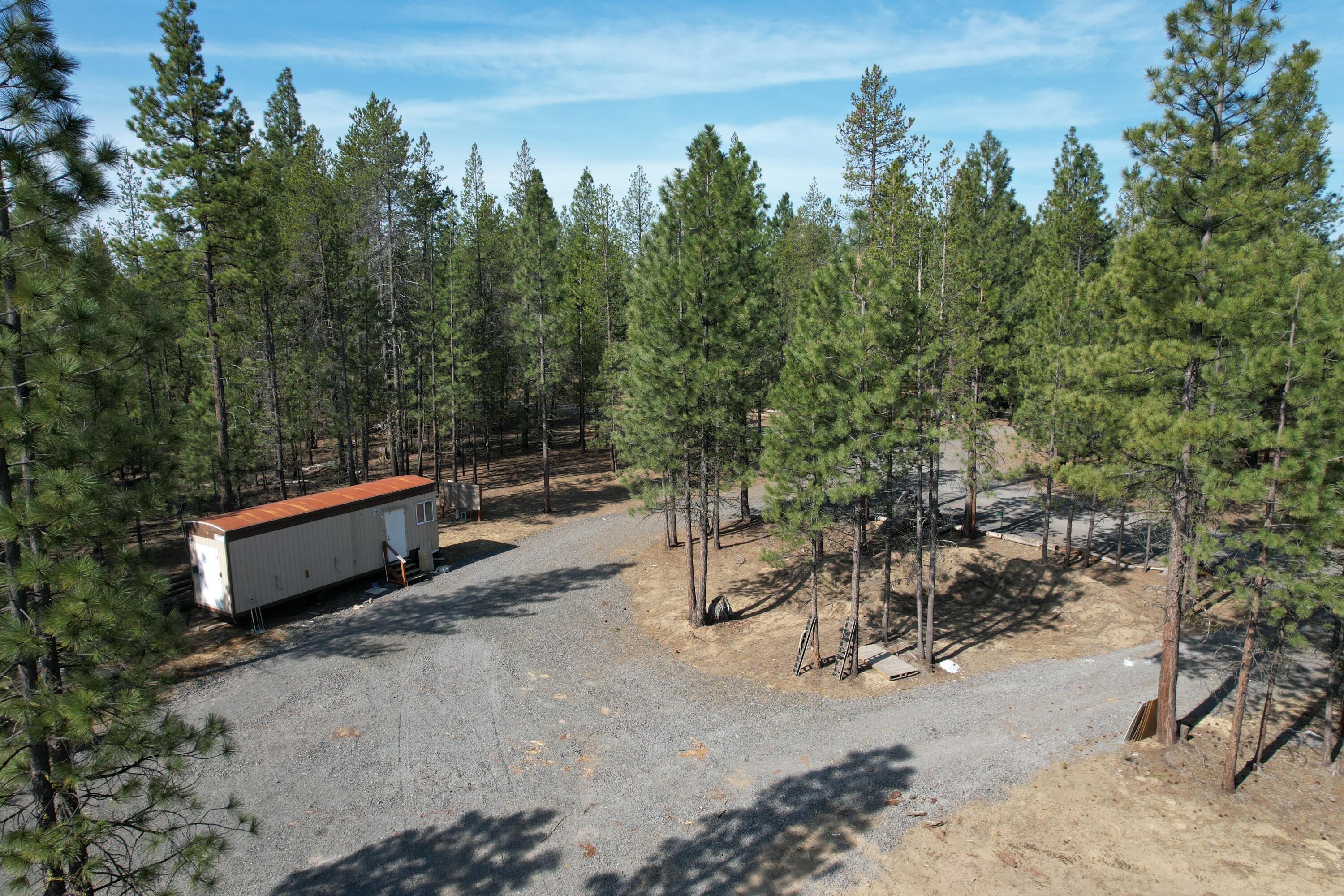 Ponderosa Pines - Land