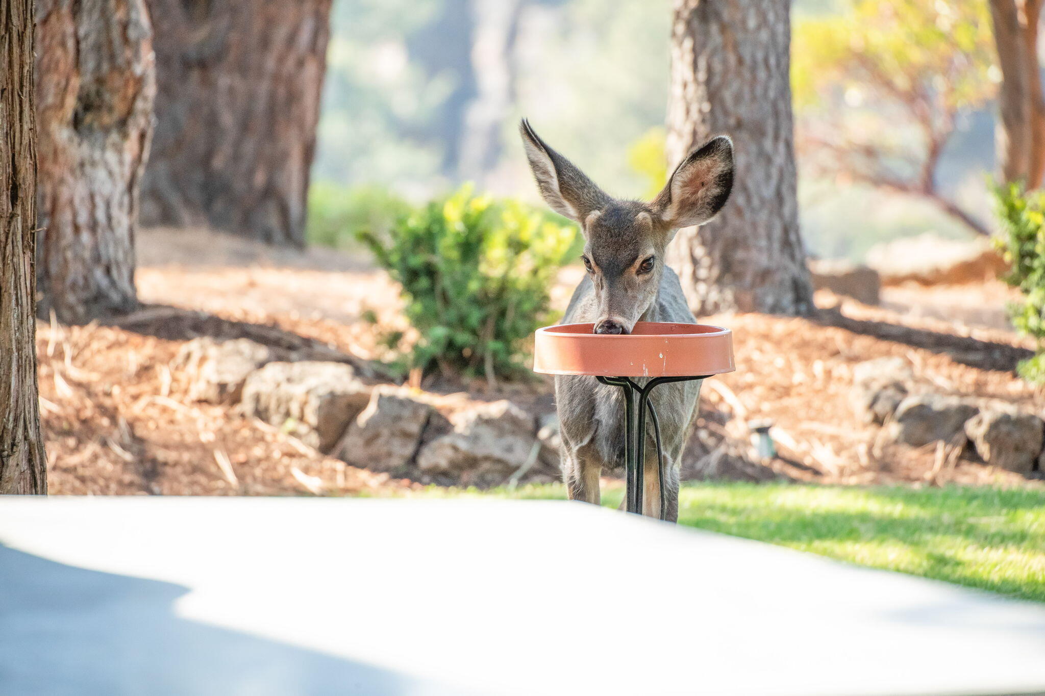 River Canyon Estates - Residential