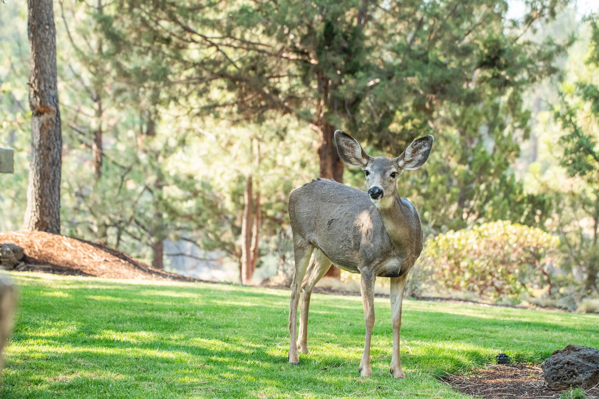 River Canyon Estates - Residential