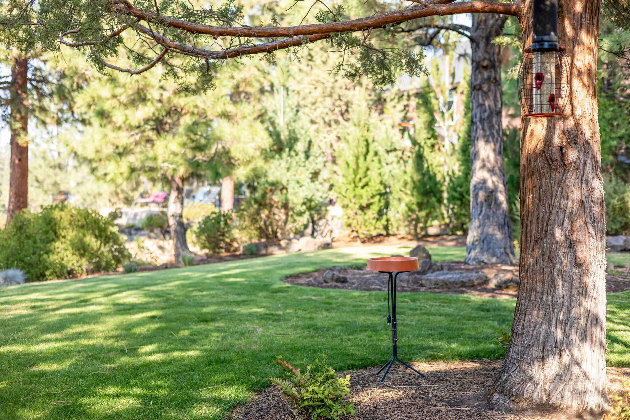 River Canyon Estates - Residential