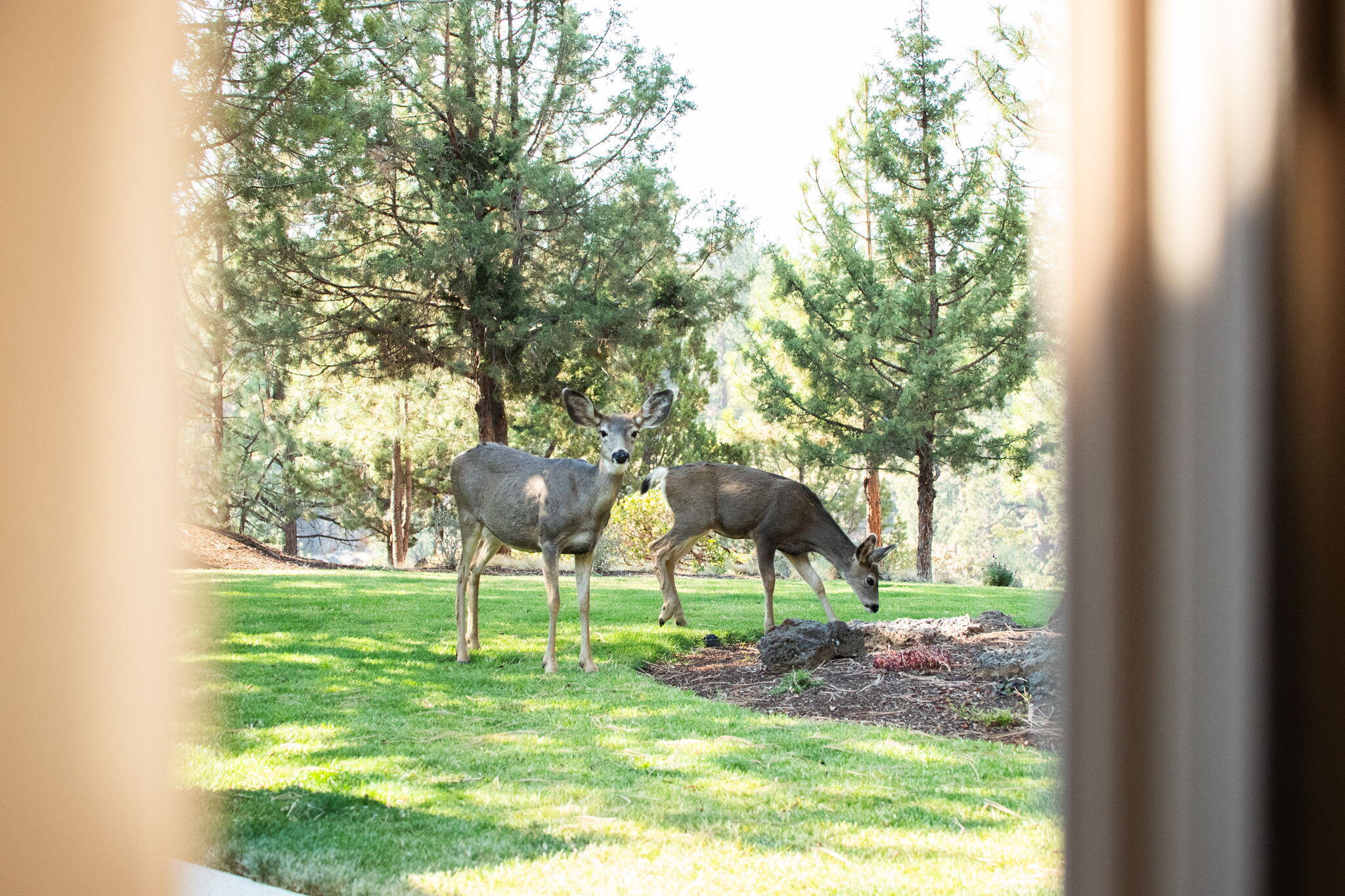 River Canyon Estates - Residential