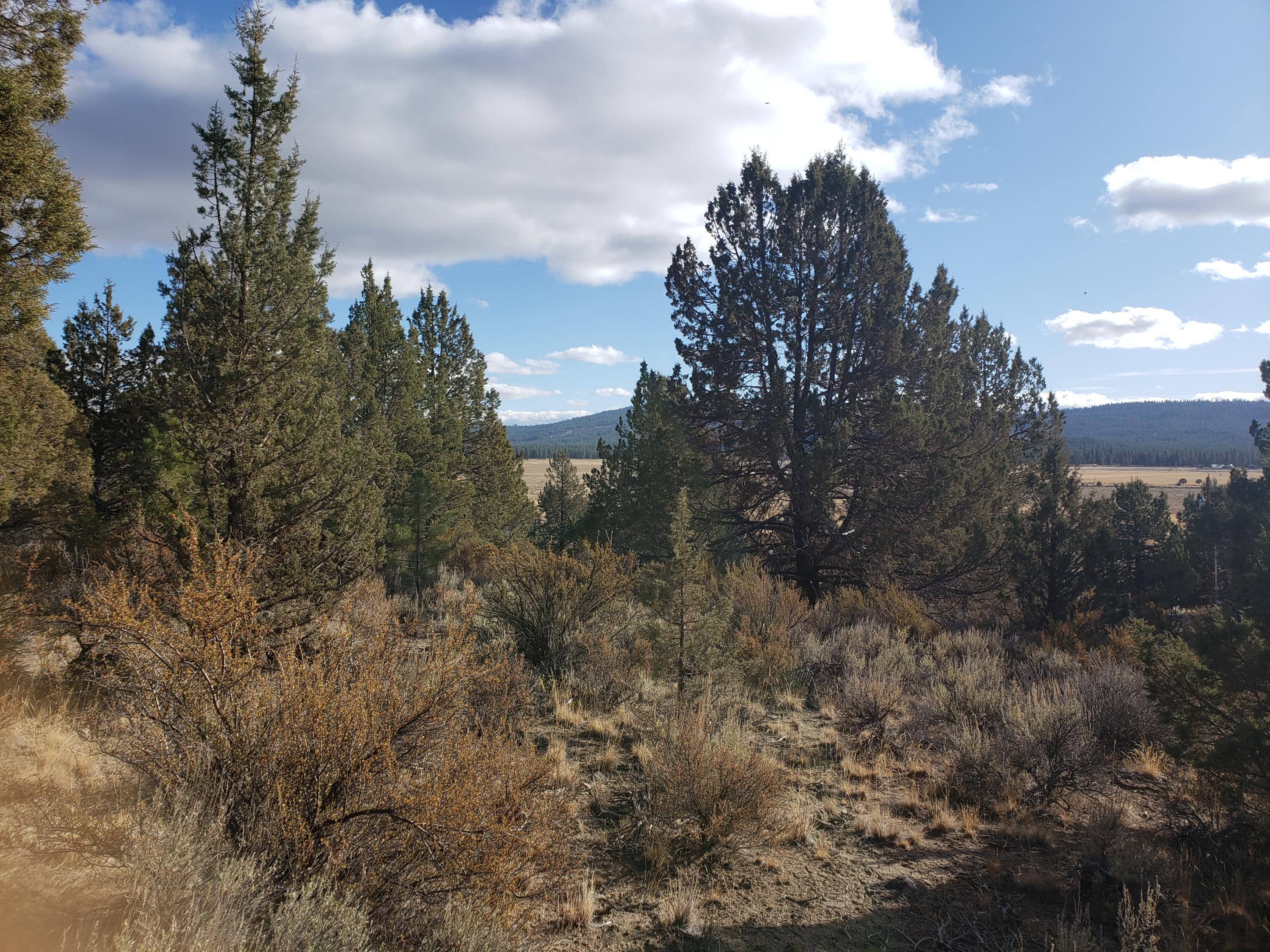 Nimrod River Park - Land