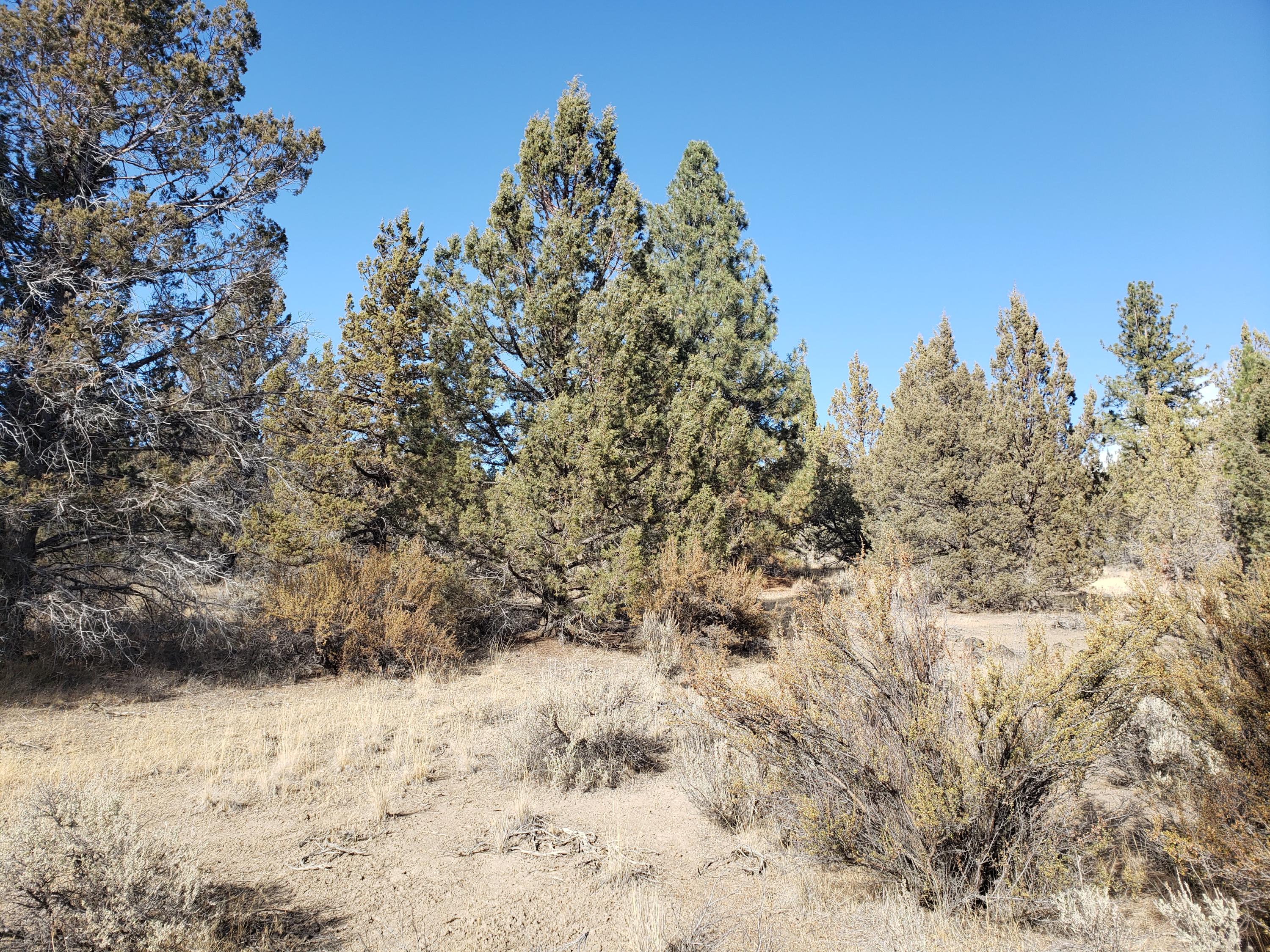 Nimrod River Park - Land