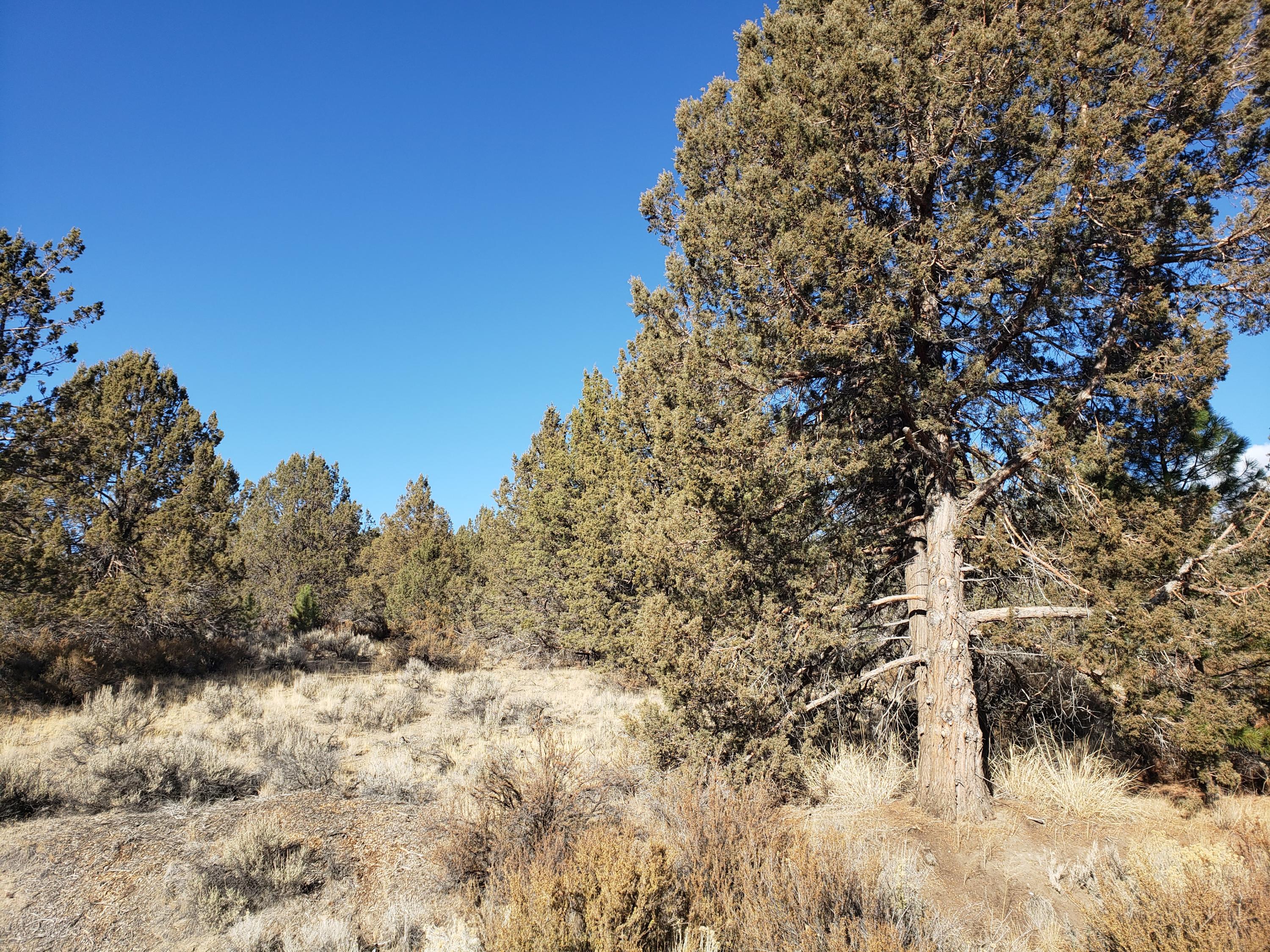 Nimrod River Park - Land