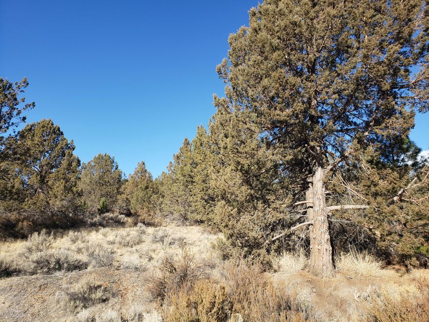 Over 1.5 acres with a view of the Sprague River and  access off paved roads.  Parcel has plenty of Juniper trees to provide privacy from the surrounding homes. A gentle slop provides for an elevated view of the valley and river below.