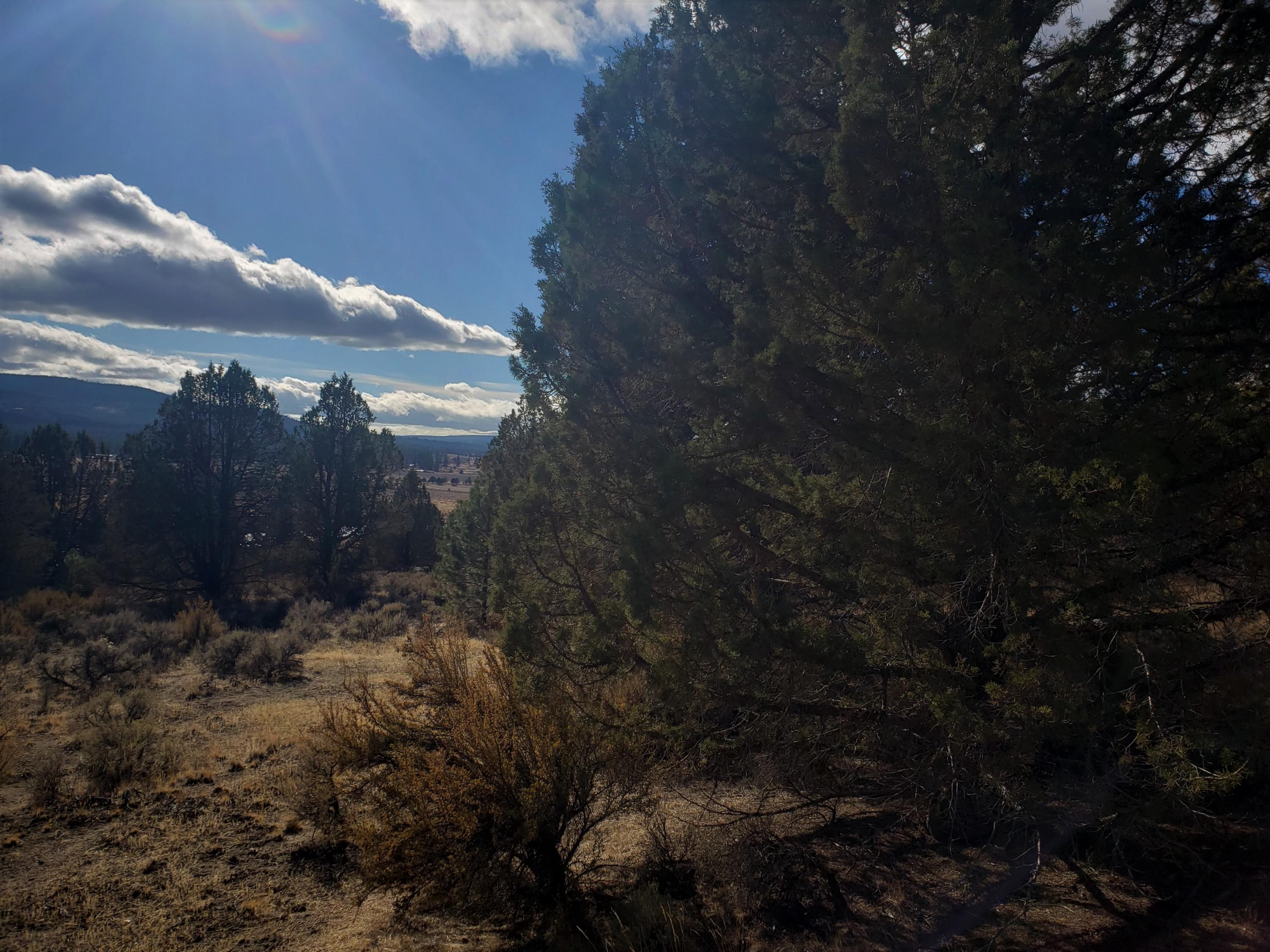 Nimrod River Park - Land