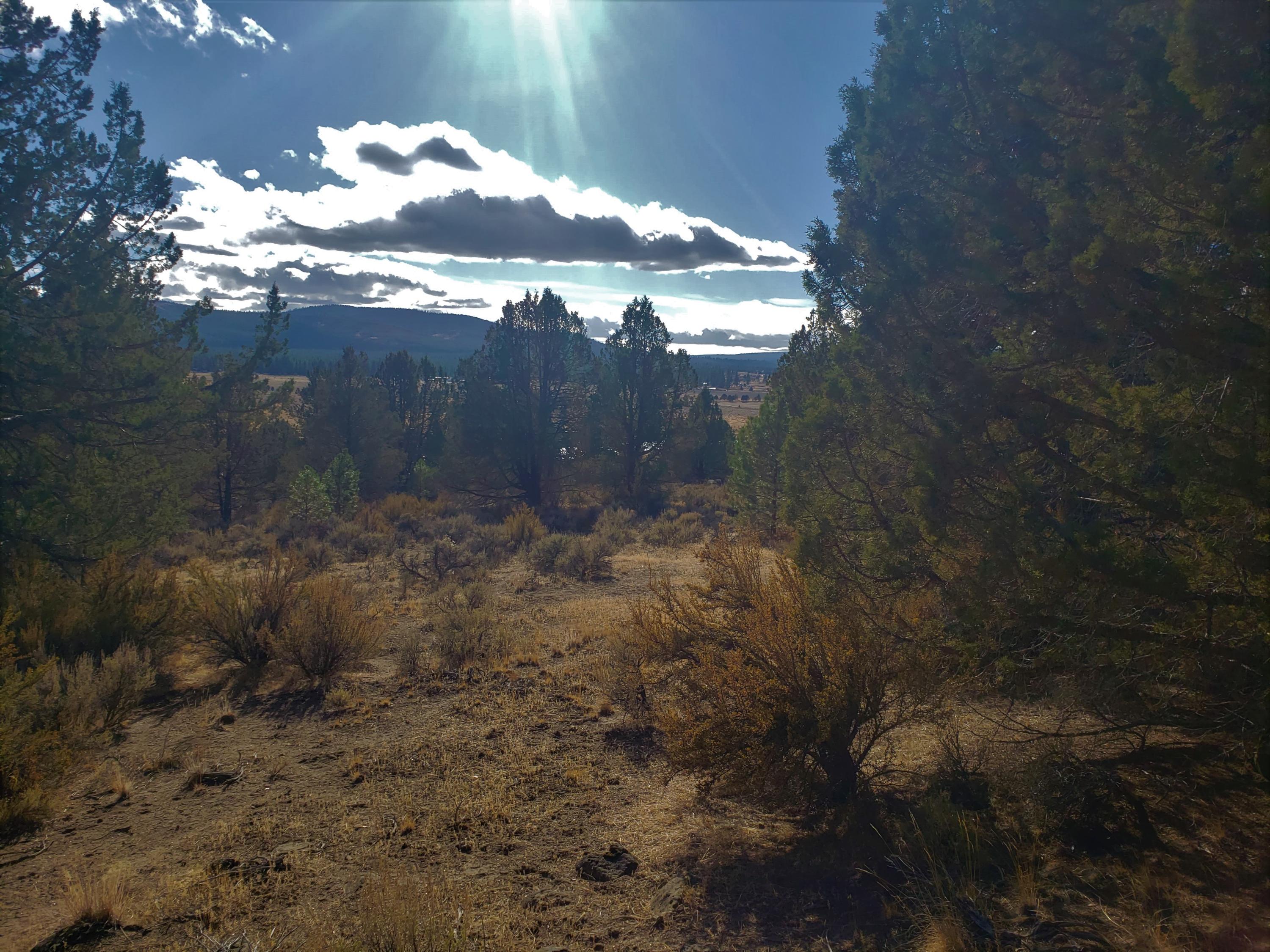 Nimrod River Park - Land