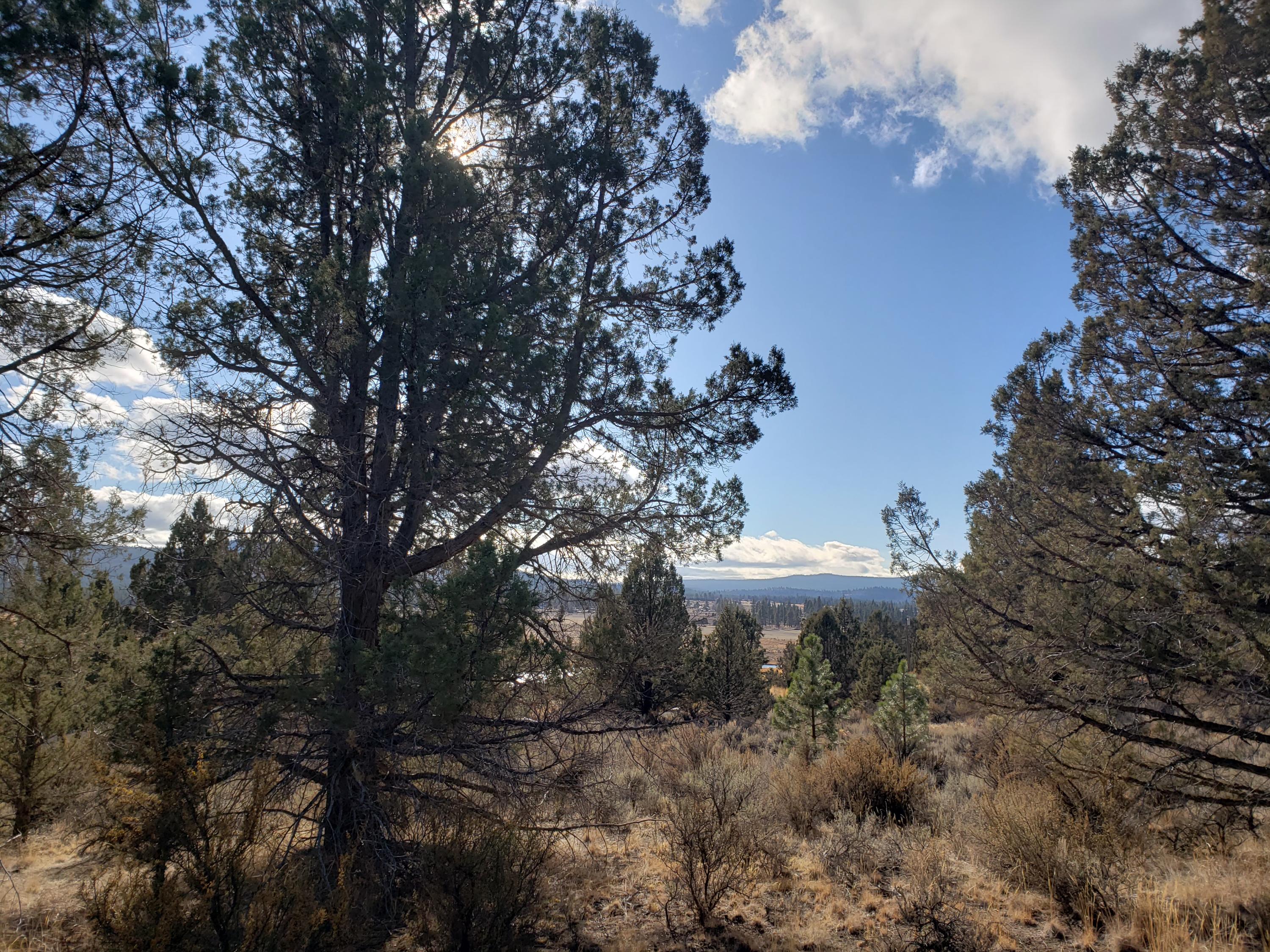 Nimrod River Park - Land