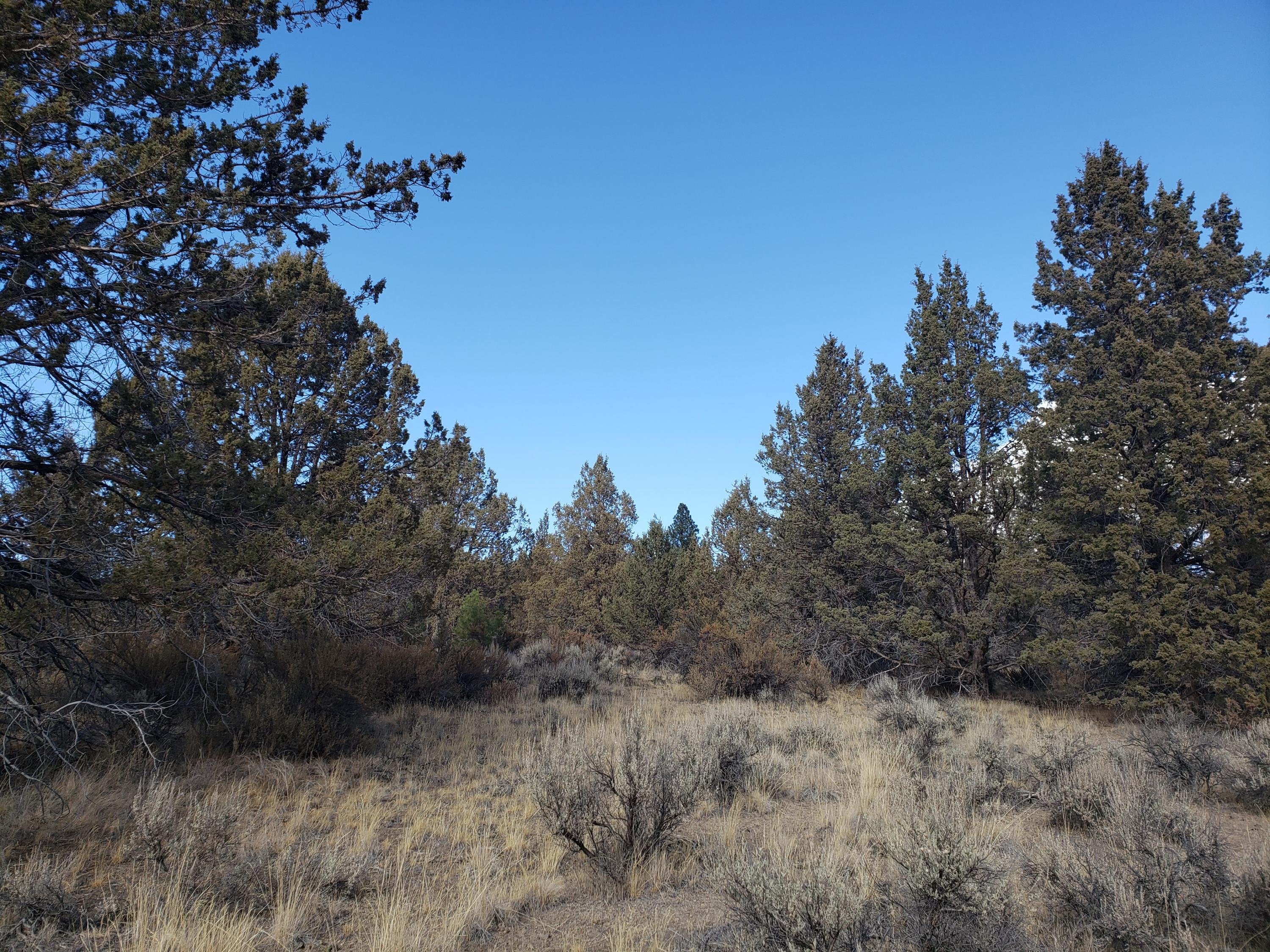 Nimrod River Park - Land