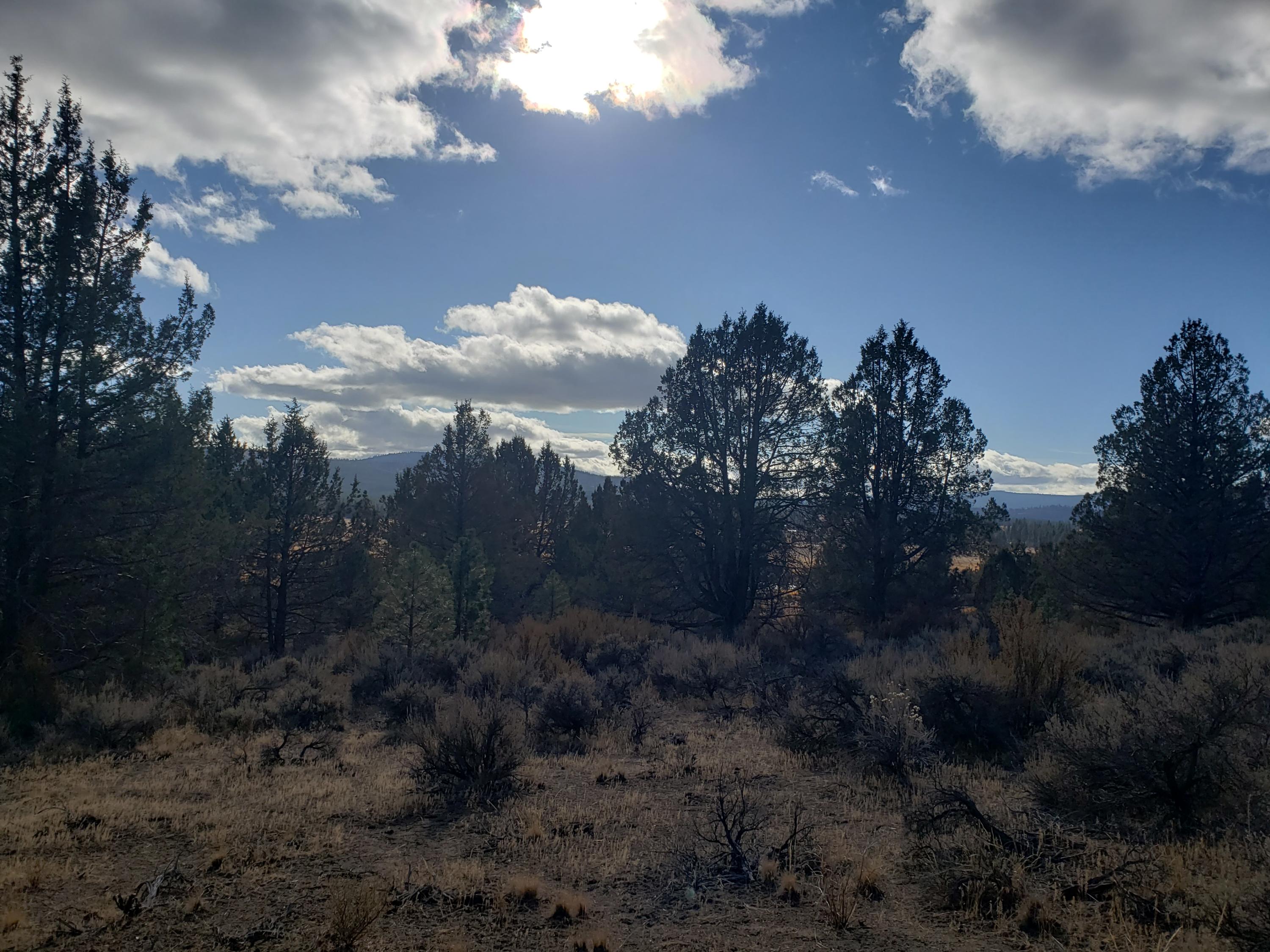 Nimrod River Park - Land