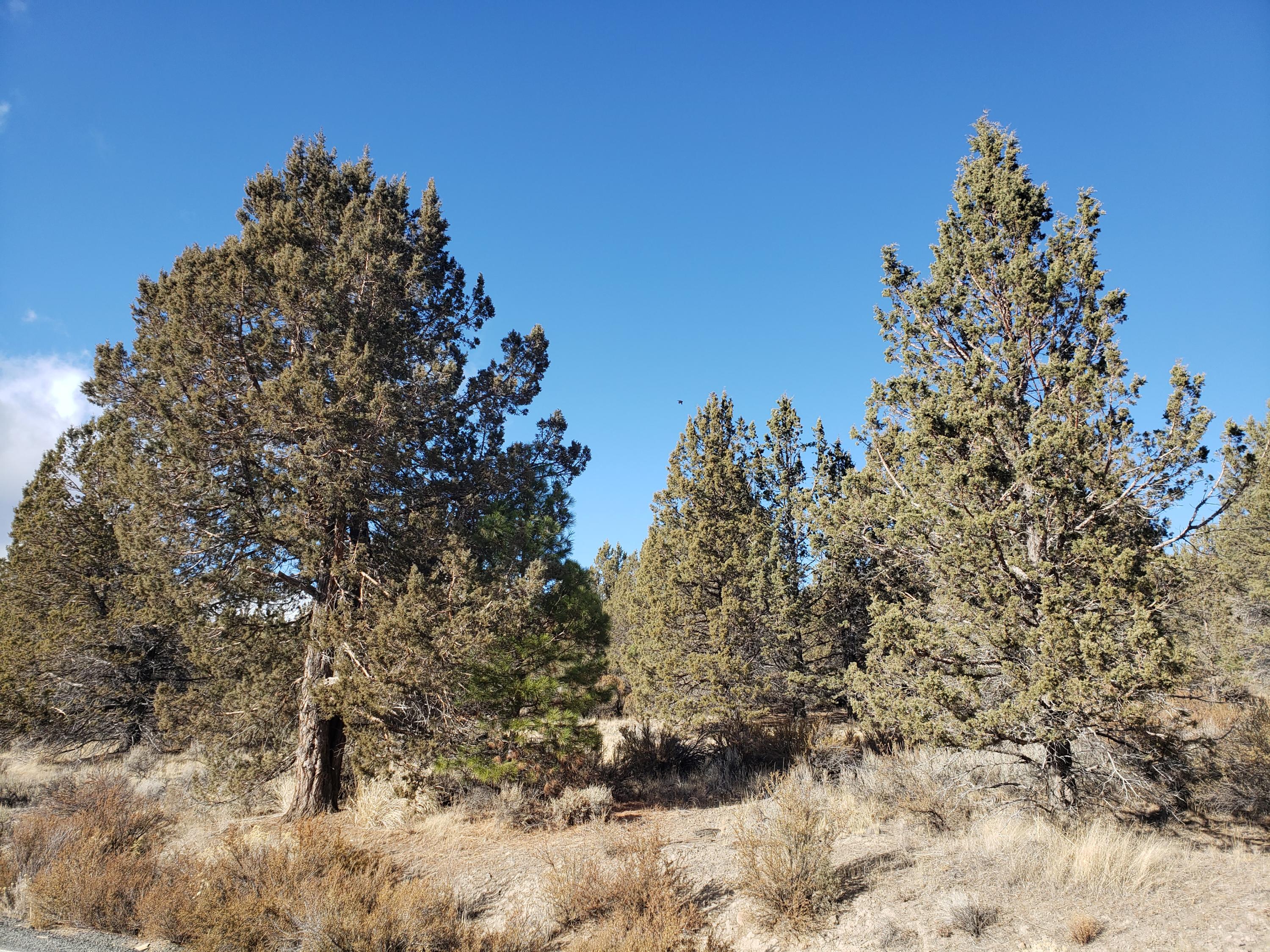 Nimrod River Park - Land