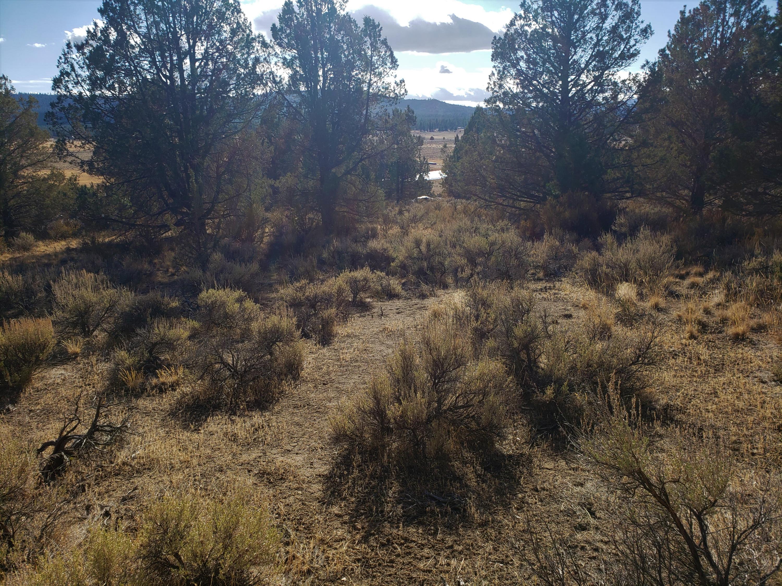 Nimrod River Park - Land