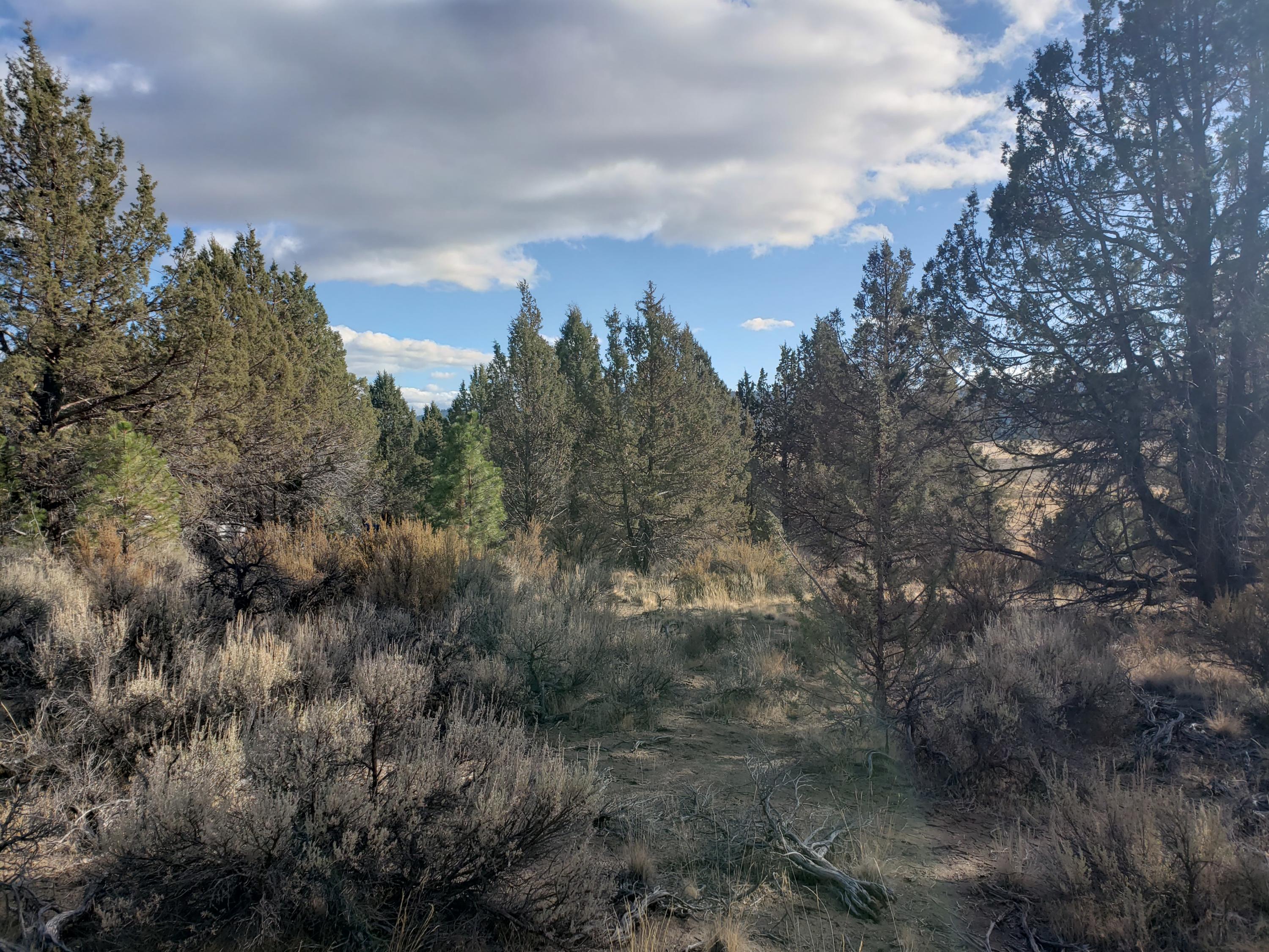 Nimrod River Park - Land