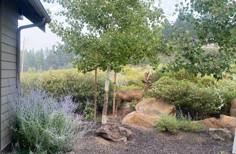 Tetherow - Residential