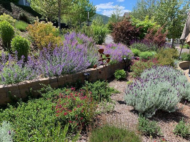 Blossom View Estates Subdivision - Residential