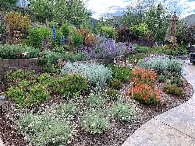 Blossom View Estates Subdivision - Residential