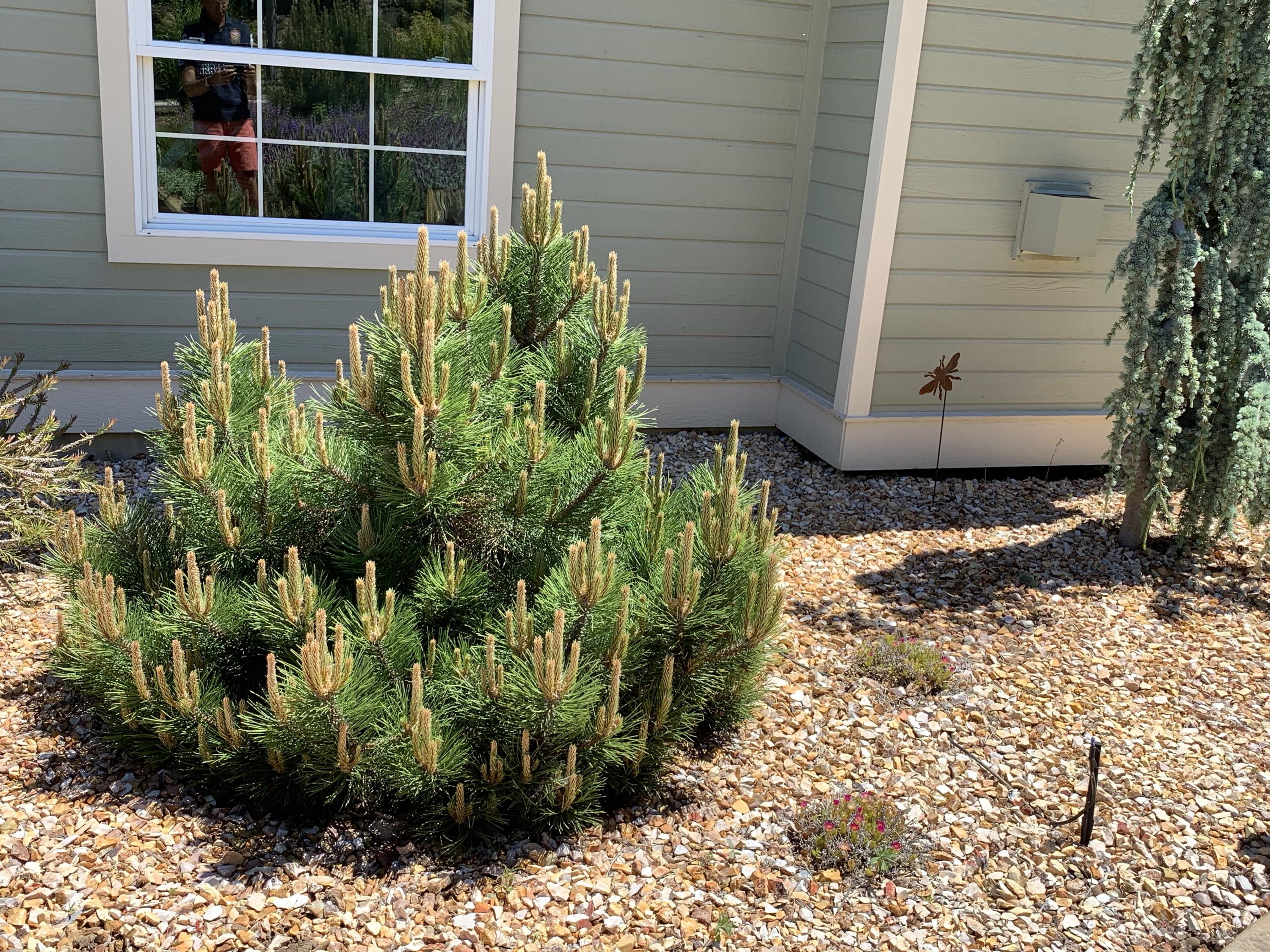 Blossom View Estates Subdivision - Residential