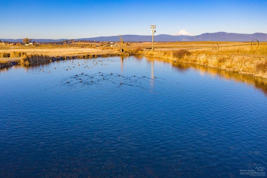 Opportunity knocks with this 312 acres of productive farm land with 320 acres of water rights with two tax lots, beneficial level topography, a view of Mt. Hood and a year round pond that is fenced and cross fenced.Of the 312 acres there are approximately 97.74 acres pivot-irrigated, 199.82 acres wheel-hand line irrigation. Irrigation comes from the Rock Springs irrigation district and three wells; two irrigation and one domestic. The farm's infrastructure includes 3-phase power, two hay barns totaling 13,800 Sq.Ft., two general purpose barns totaling 7,328 Sq.Ft., an enclosed large shop 2,184 SqFt., detached two car garage, corrals and chute, and numerous outbuildings. This property is full of potential! Historically, hay and hemp have been grown but potential to grow fruit or berry orchards. Charming stone house is approx. 2,800 sq/ft, main floor with 2 bdrm, 1 bath, kitchen, mudroom, dining, living room, below a daylight basement with 2 bdrm, 1 bath and lots of storage, furnace/AC