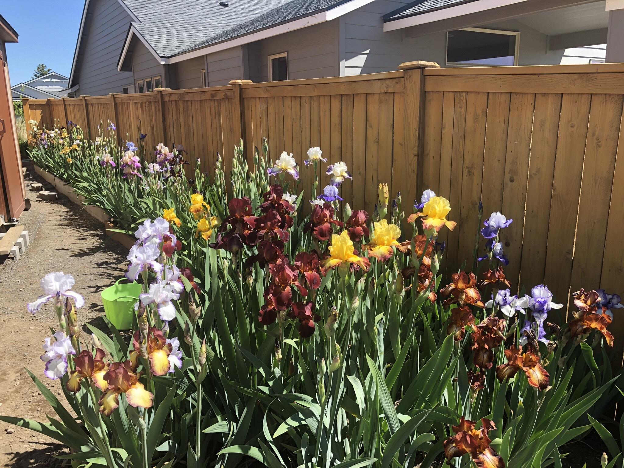 Viewpoint Ridge - Residential