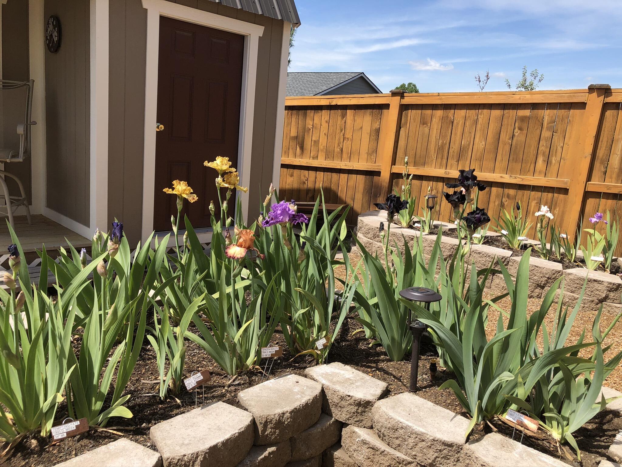 Viewpoint Ridge - Residential