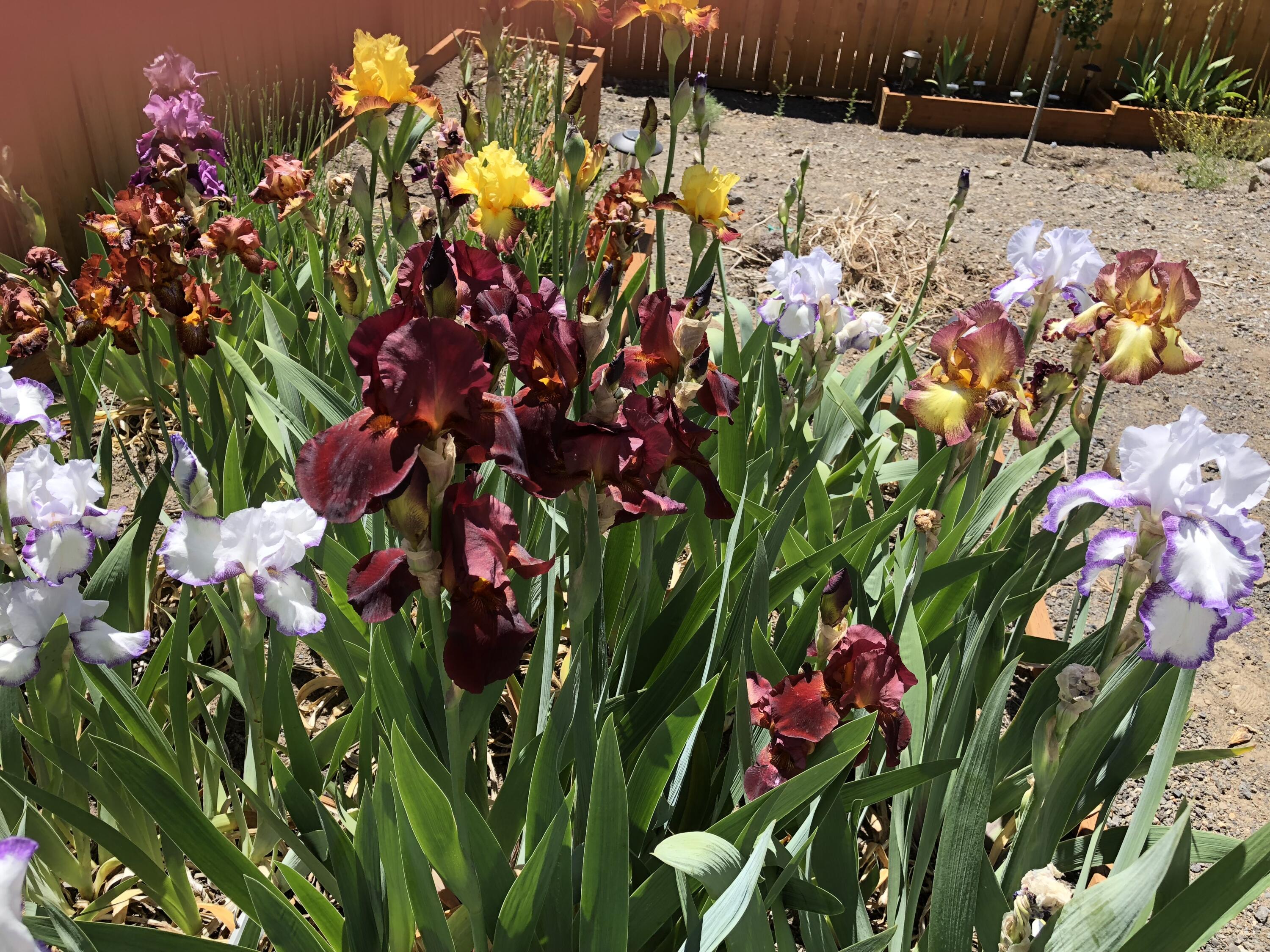 Viewpoint Ridge - Residential