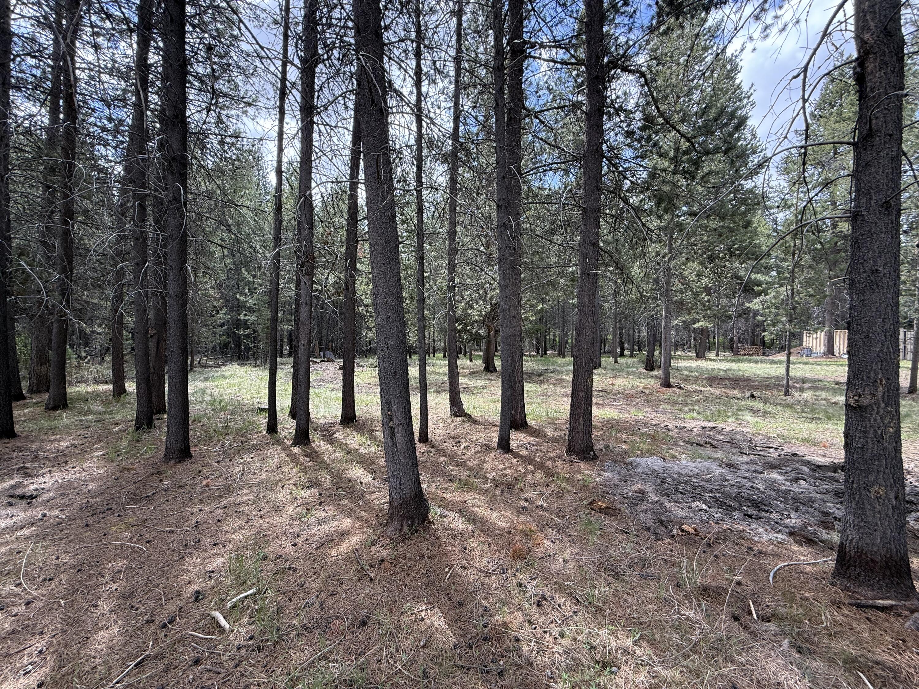 55471 Jamie Way