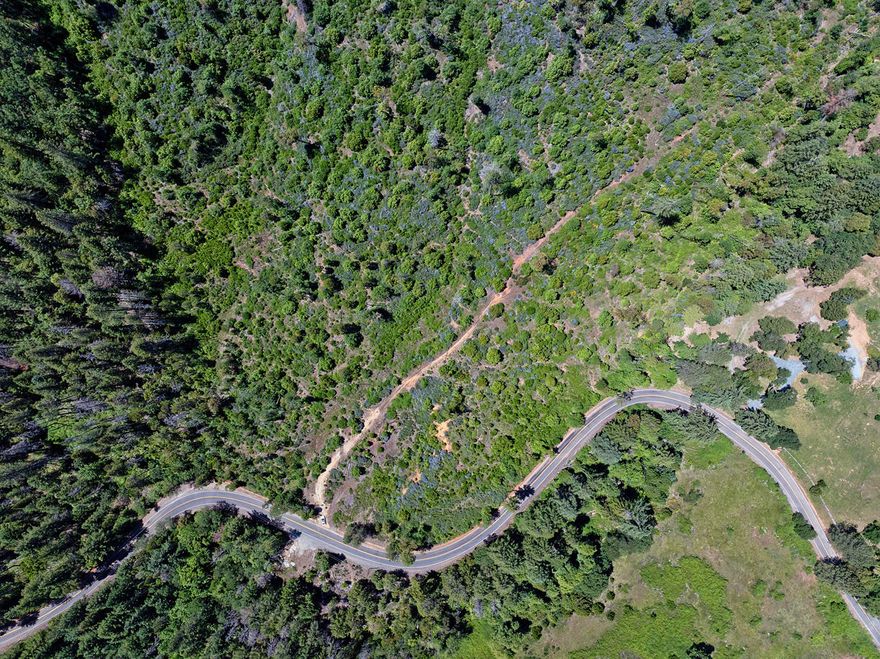 Escape to your own private slice of paradise on this serene 13.7-acre property, ideally located just 10 minutes from I-5 for easy access while offering complete seclusion. Nestled in the scenic mountains of Lower Wolf Creek Rd, this wooded haven boasts breathtaking mountain views and a diverse forest landscape featuring Fir, Cedar, Oak, Madrone, Manzanita, lush Ferns, and Wild Lilac. Backing up to 400 acres of BLM land, this property is a dream for outdoor enthusiasts, providing direct access to miles of recreational opportunities including hiking, hunting, and exploring. A natural watering hole attracts abundant wildlife—frequent sightings of deer and wild turkey make this a true nature lover's retreat. Whether you're seeking a peaceful getaway, or recreational land, this unique property offers the perfect blend of privacy, convenience, and untamed Oregon beauty.