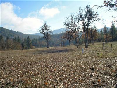 White Oak Ridge - Land