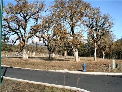 White Oak Ridge - Land