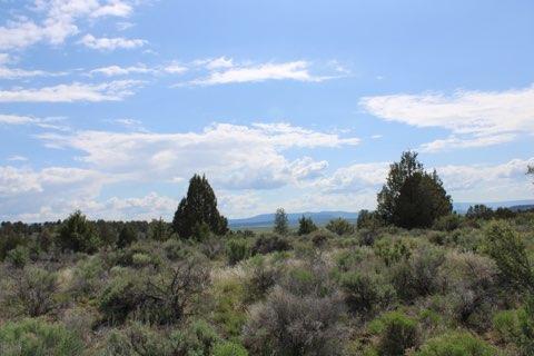 Sprague River Valley Acres - Land