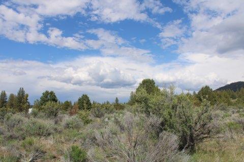 Sprague River Valley Acres - Land