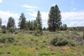 Sprague River Valley Acres - Land