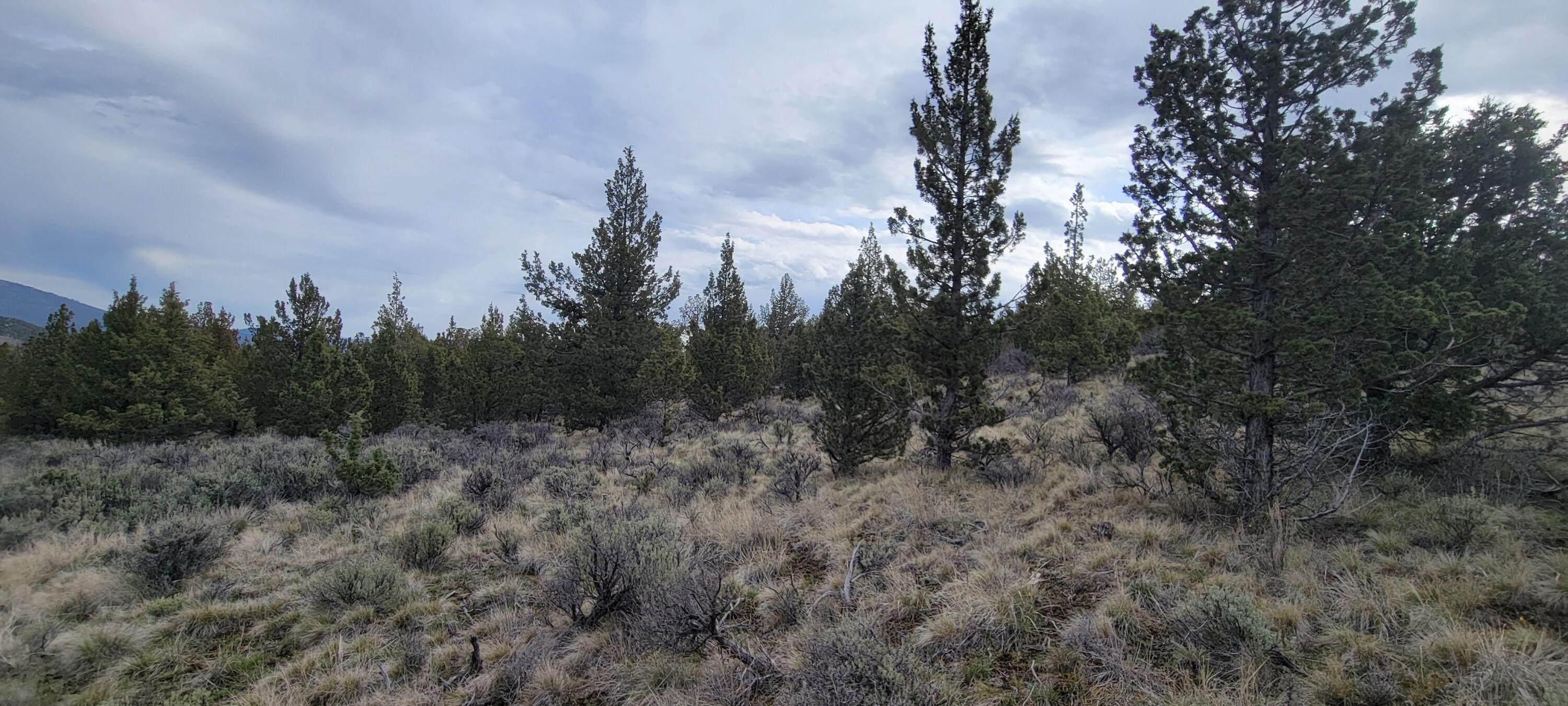 Riverside Ranch - Land