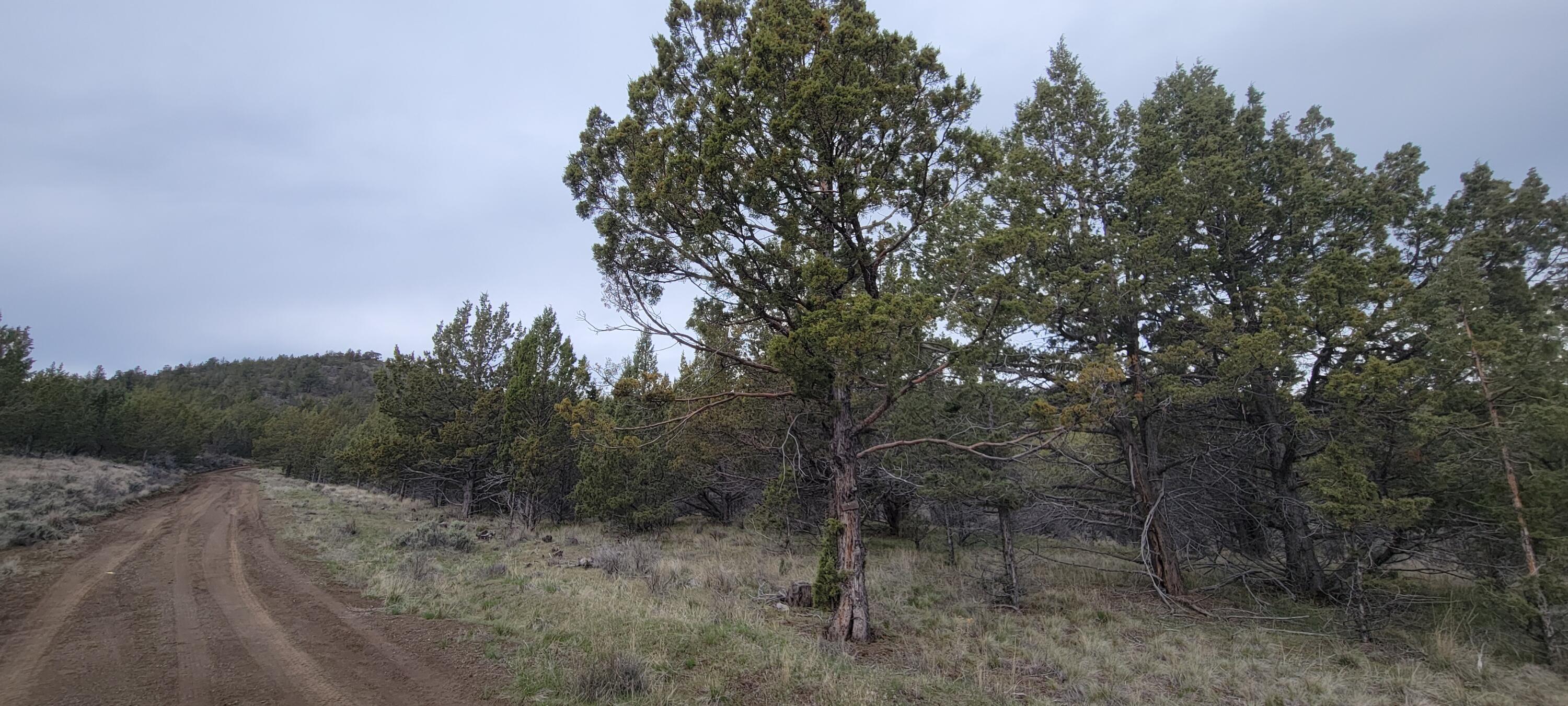 Riverside Ranch - Land