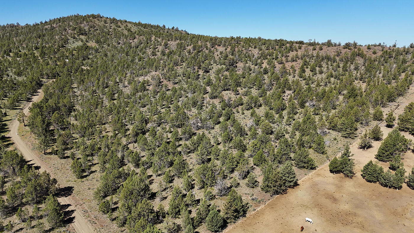 Riverside Ranch - Land