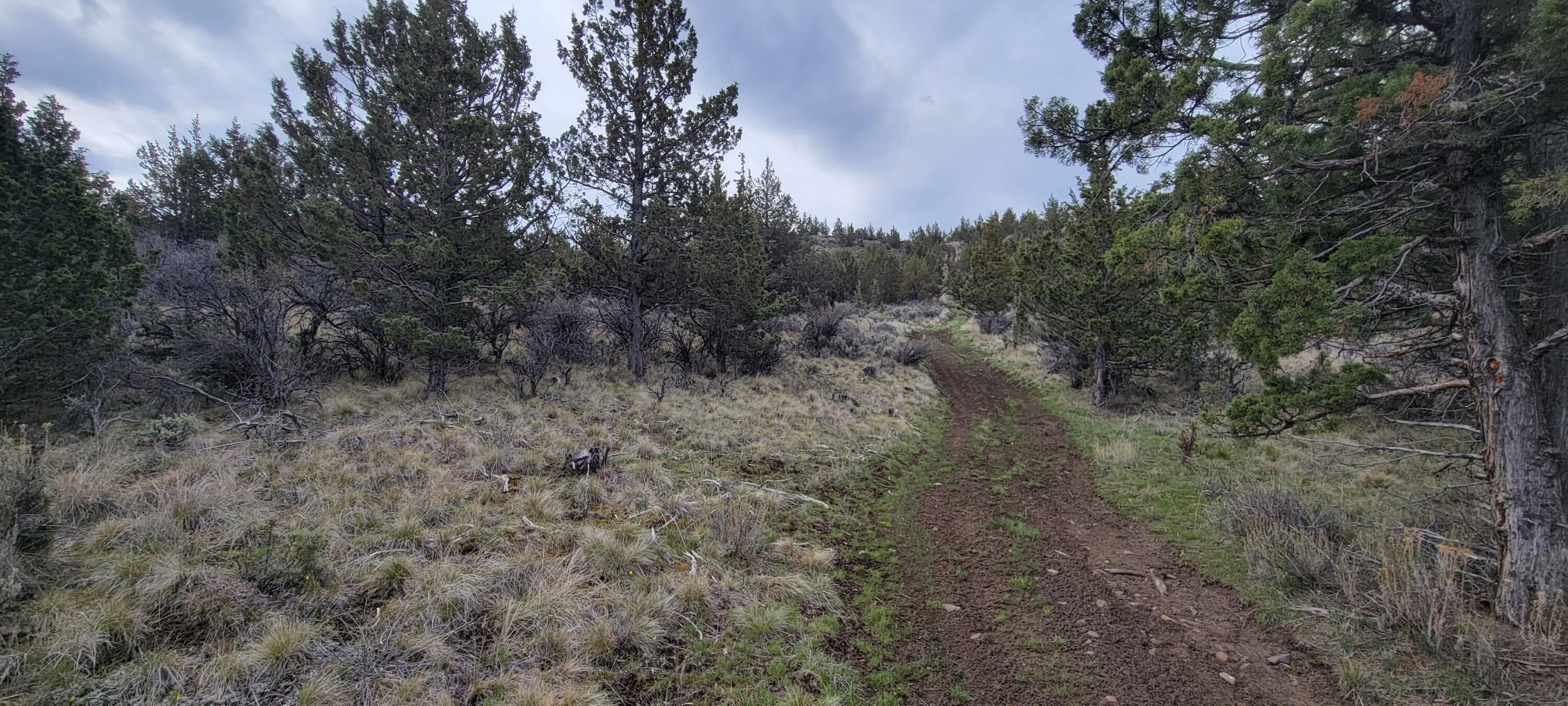 Riverside Ranch - Land