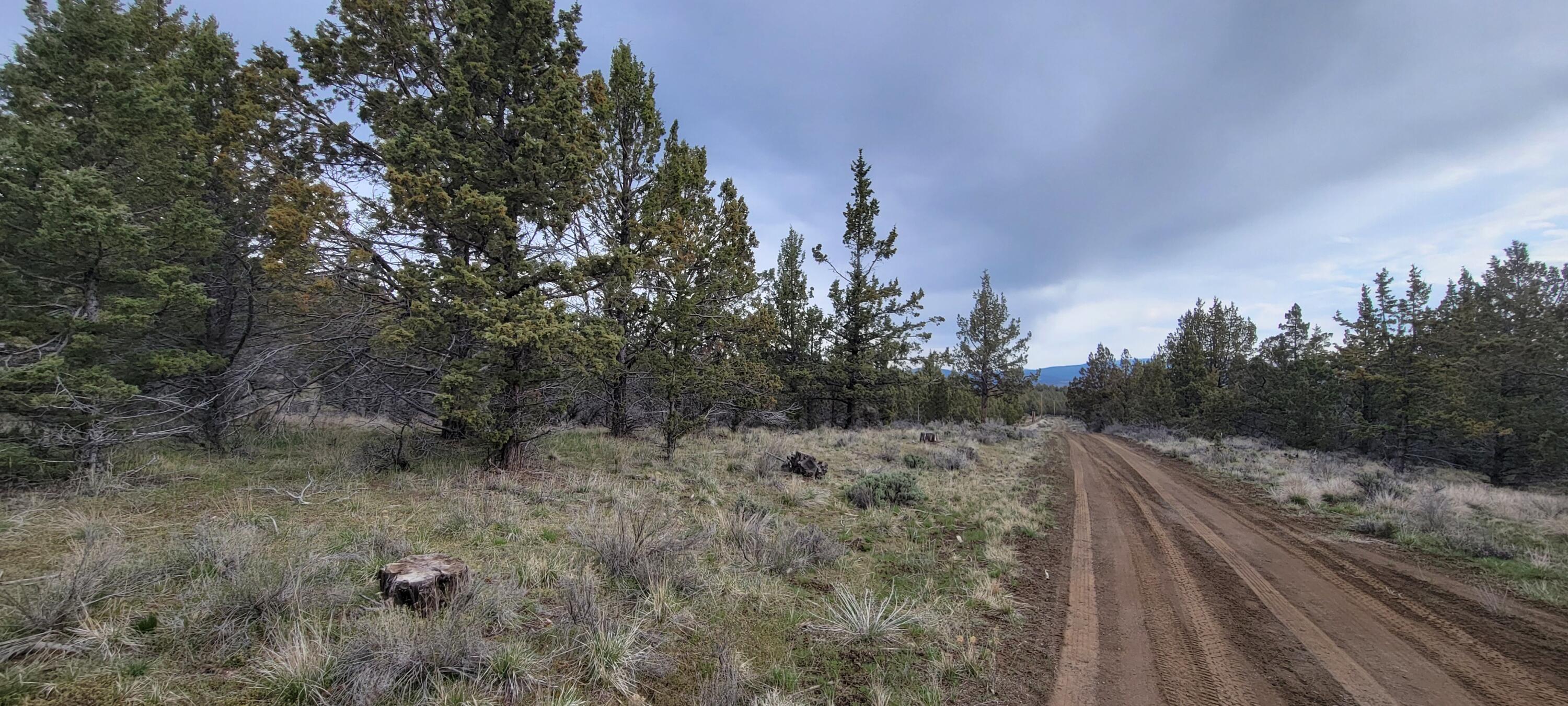 Riverside Ranch - Land