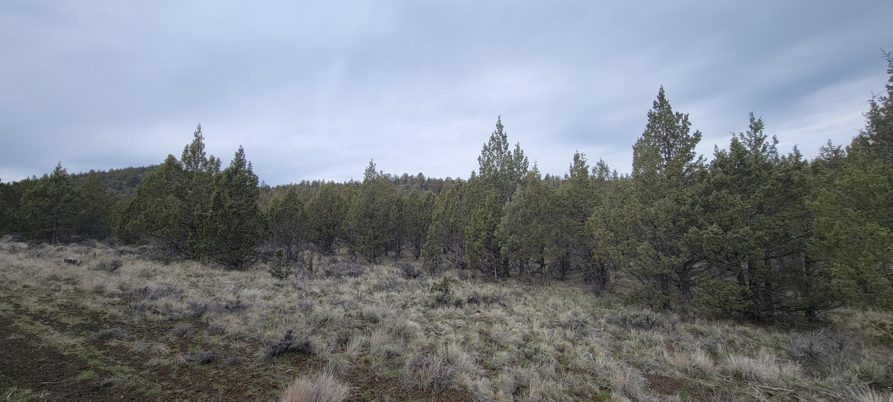 Riverside Ranch - Land