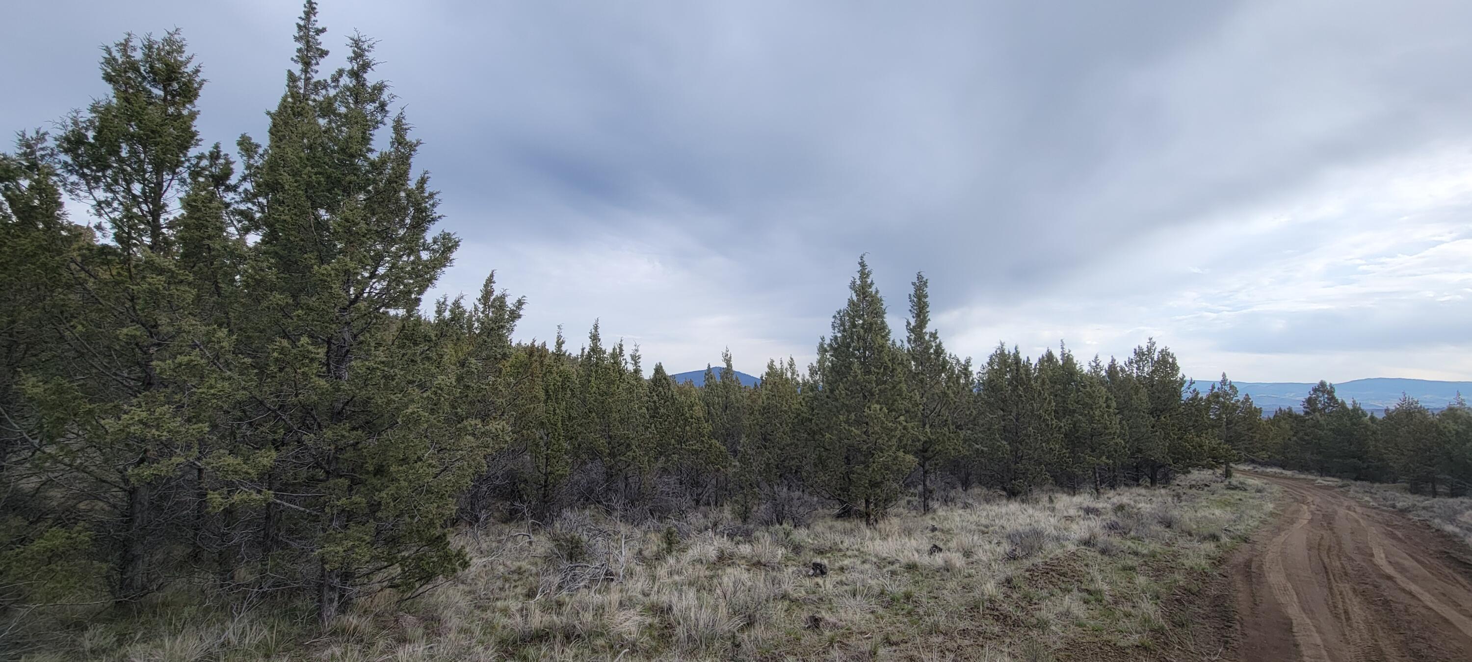 Riverside Ranch - Land