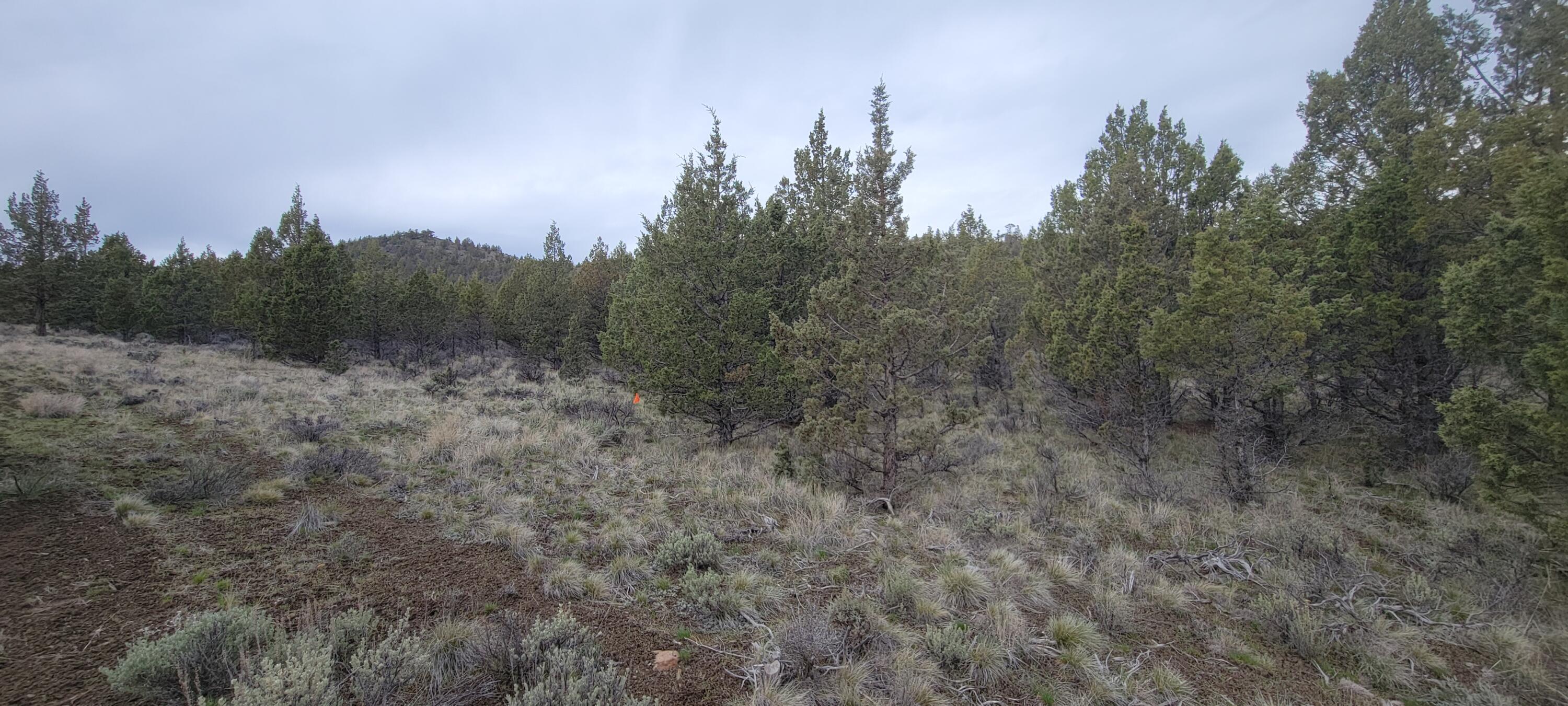 Riverside Ranch - Land