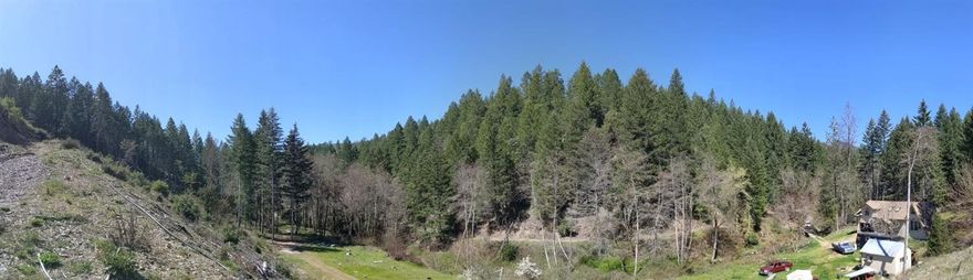 Wonderful off grid home on 30 Acres far enough out for peace and quiet but only approximately 20 minutes to I-5 and minutes to all the Rogue river has to offer, fishing and rafting. Priced to sell home does need some TLC. Owner may carry with half down and short term.
