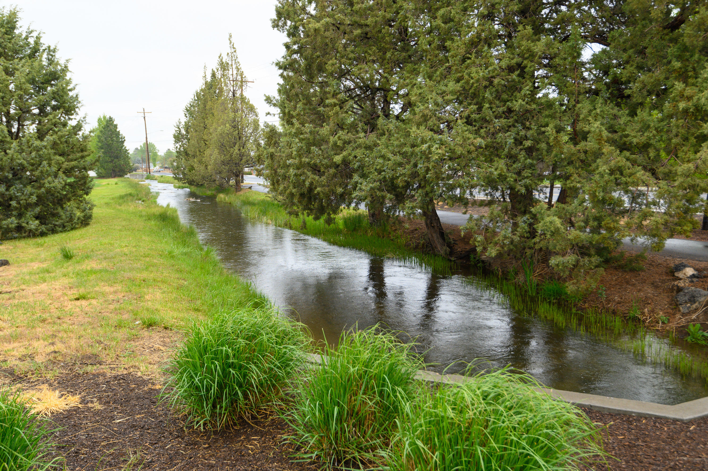 Parkland - Residential