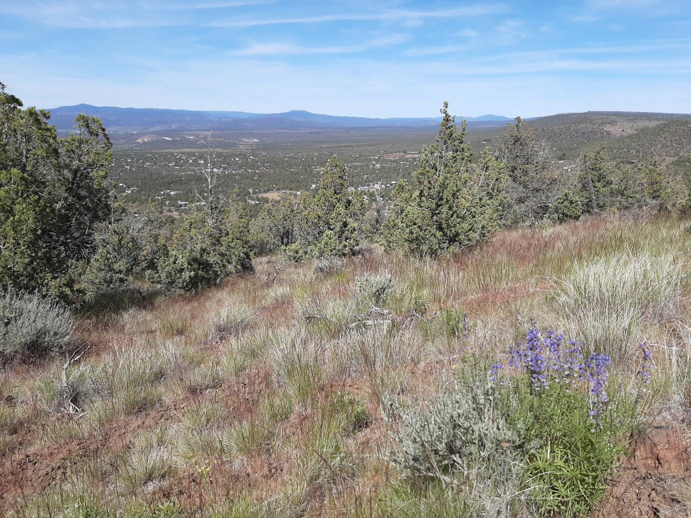 Scenic Vista Estates - Land