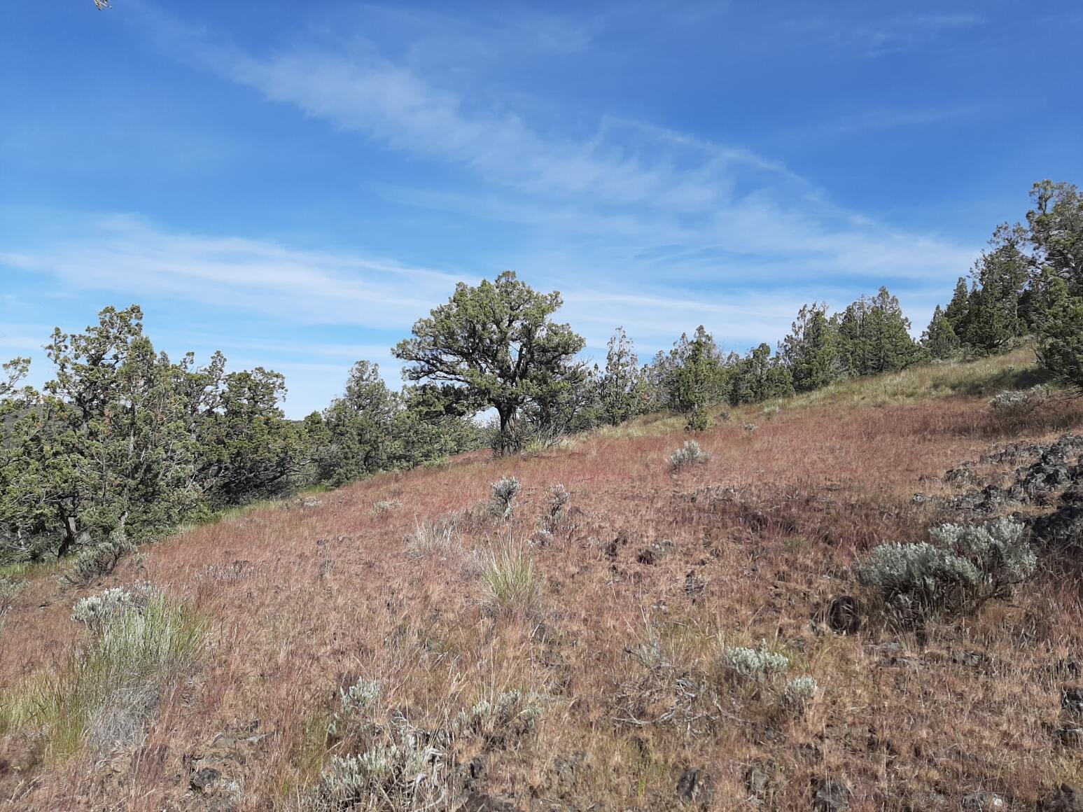 Scenic Vista Estates - Land