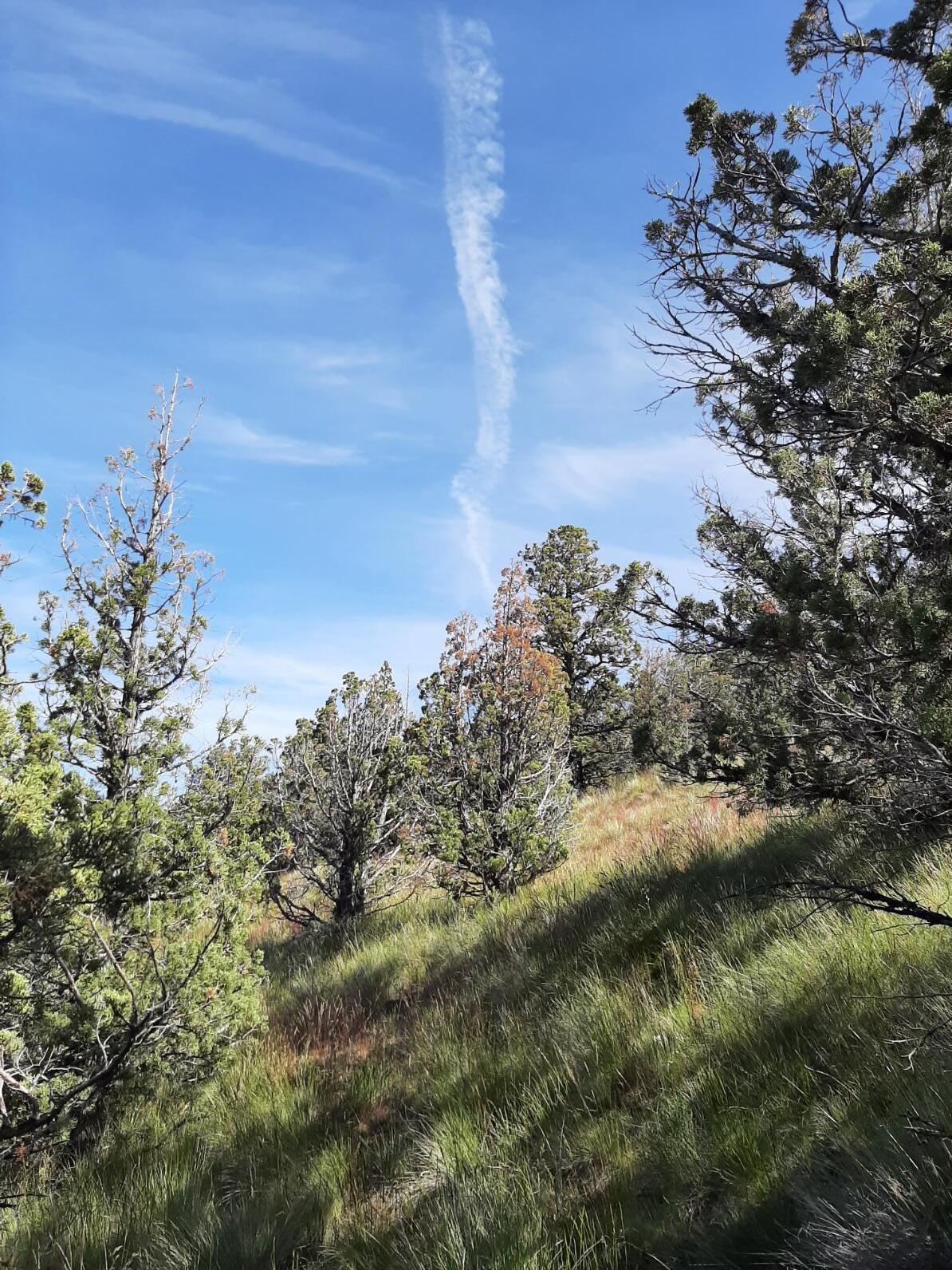 Scenic Vista Estates - Land