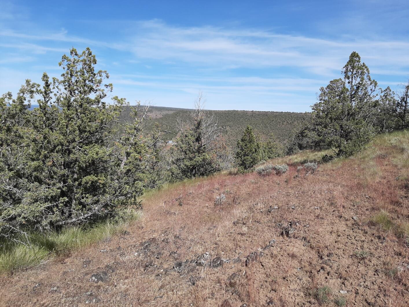 Scenic Vista Estates - Land