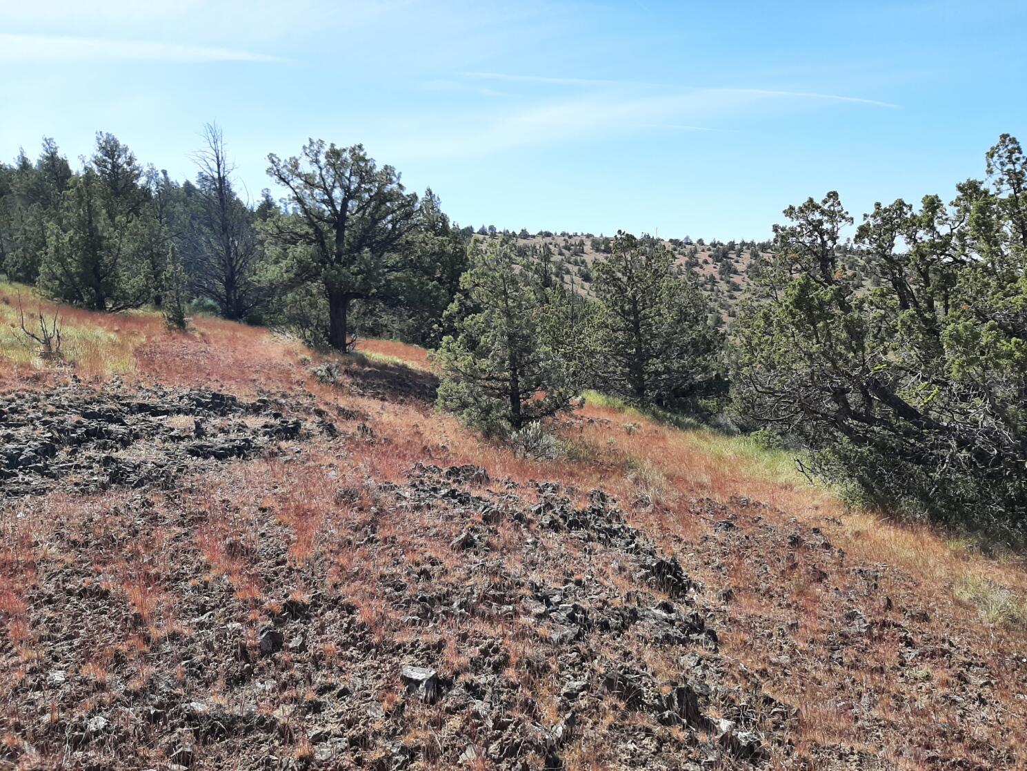 Scenic Vista Estates - Land