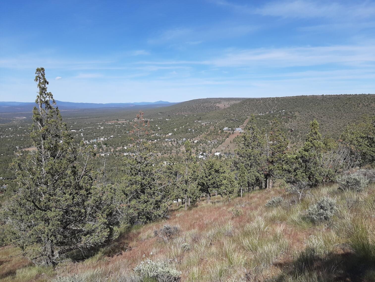 Scenic Vista Estates - Land