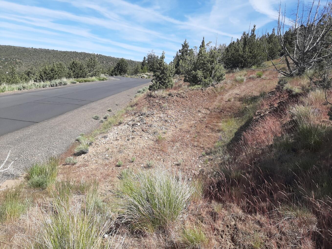 Scenic Vista Estates - Land