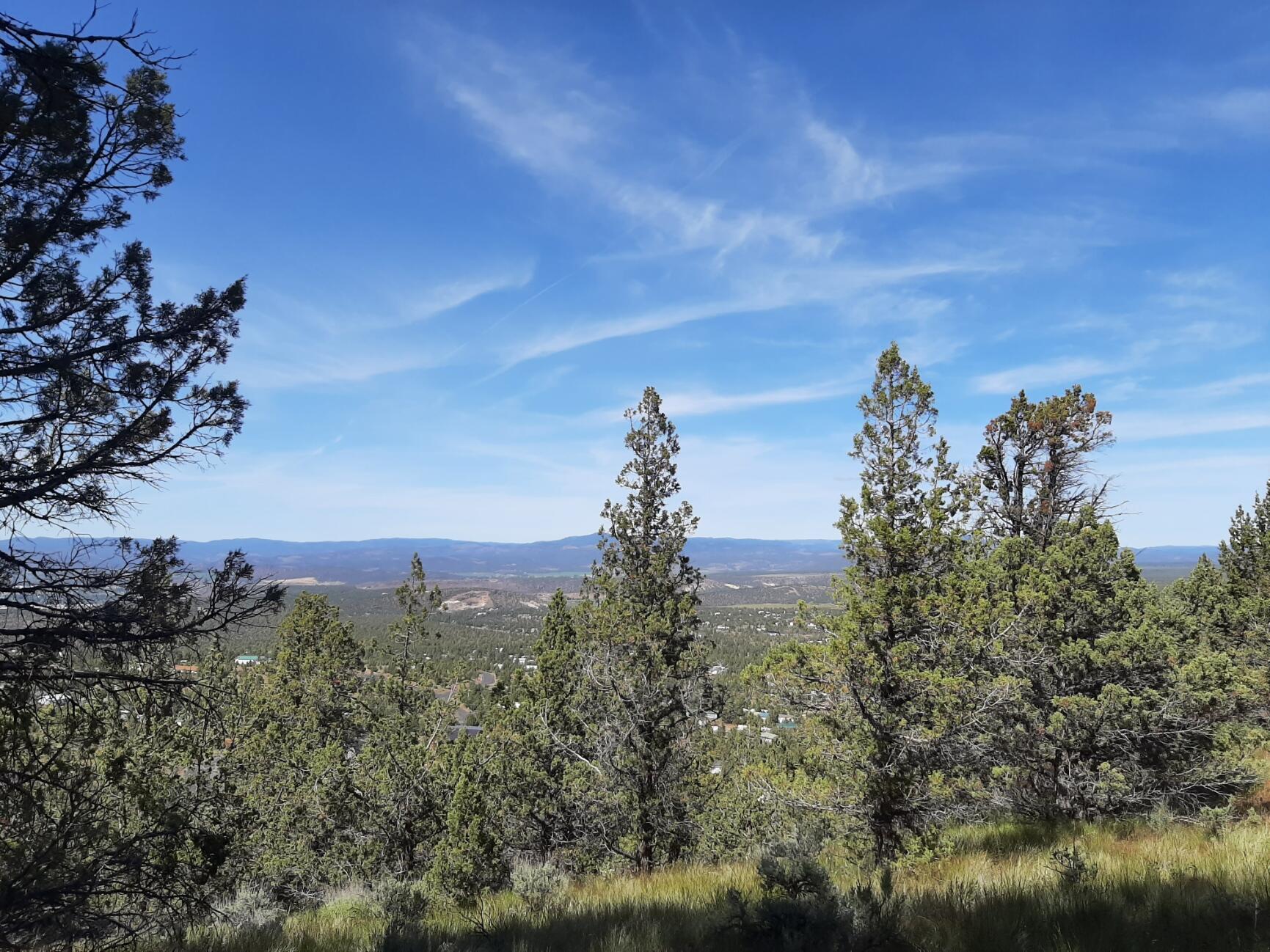 Scenic Vista Estates - Land